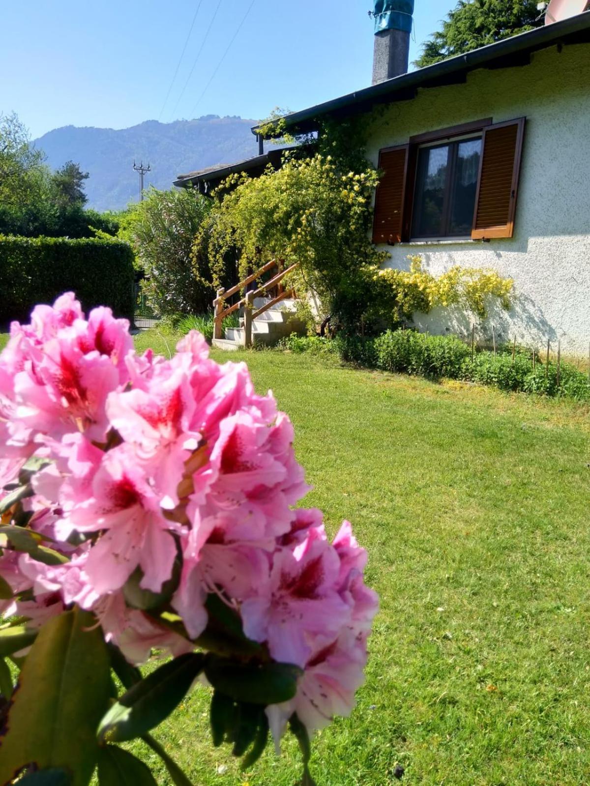 Villa Anna Sorico Exteriér fotografie